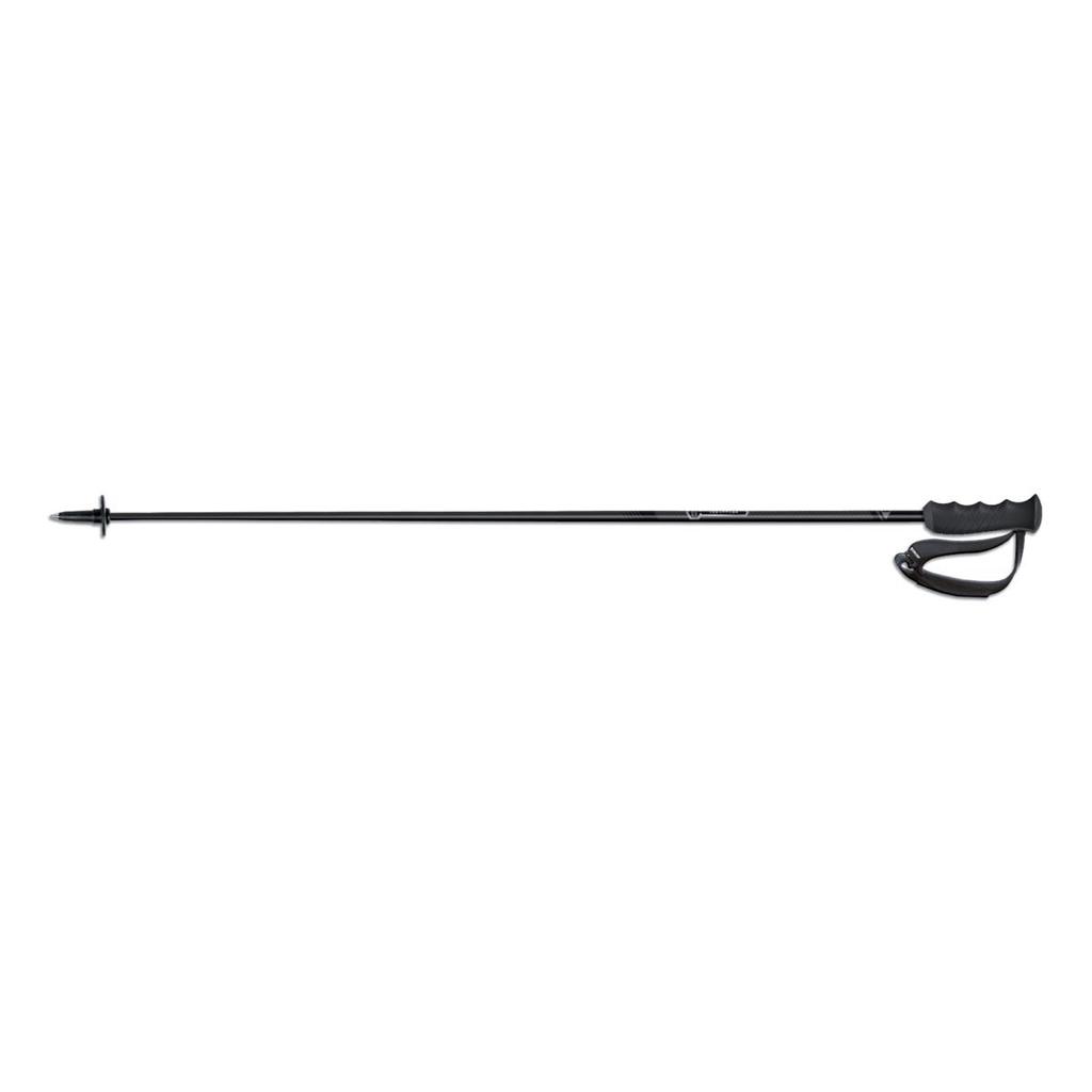 Fischer Brilliant Carbon