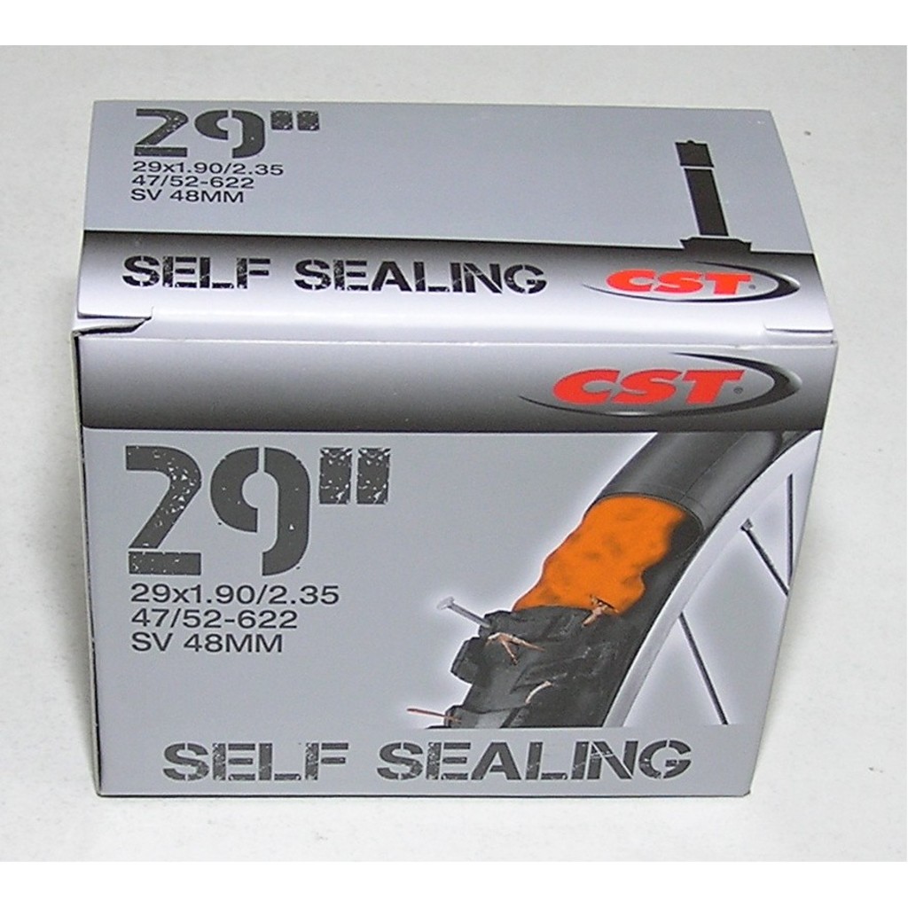 CST 29x1,9/2,35 AV (SV) 48mm Self Sealing