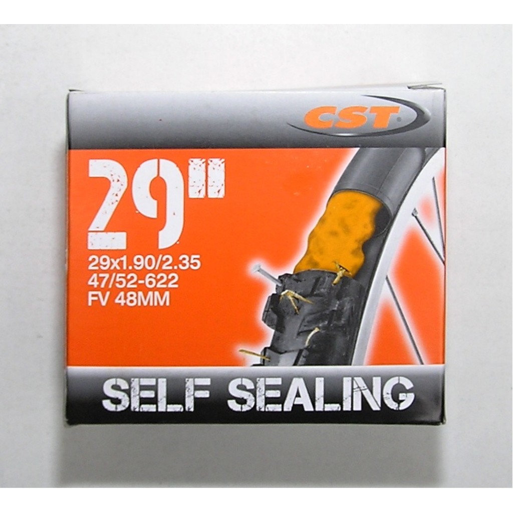 CST 29x1,9/2,35 FV 48 mm Self Sealing