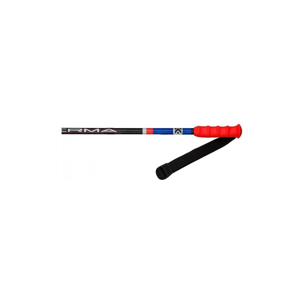 Kije narciarskie Dynastar  Speed SL Jr