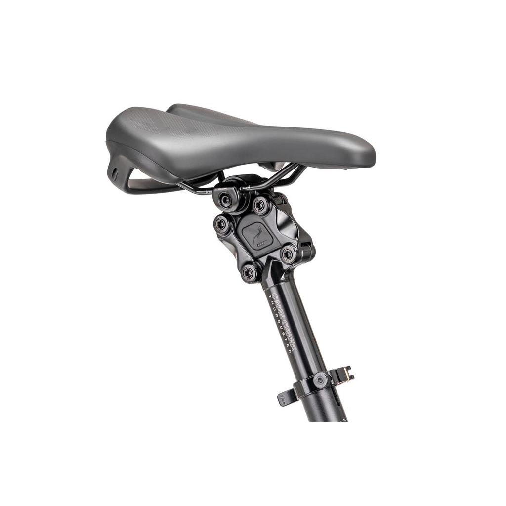 Cargo rowery Tern GSD R14 EU CargoLine