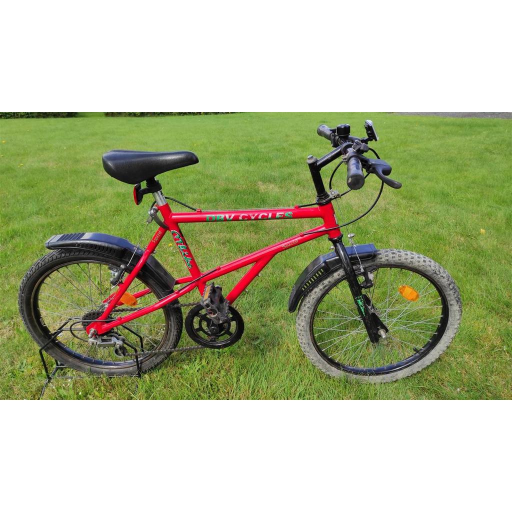  CTbike Kid