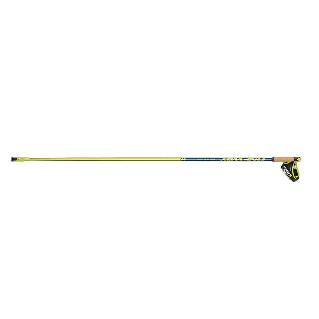 Kije nordic walking + trekking  One Way Team15 Mag