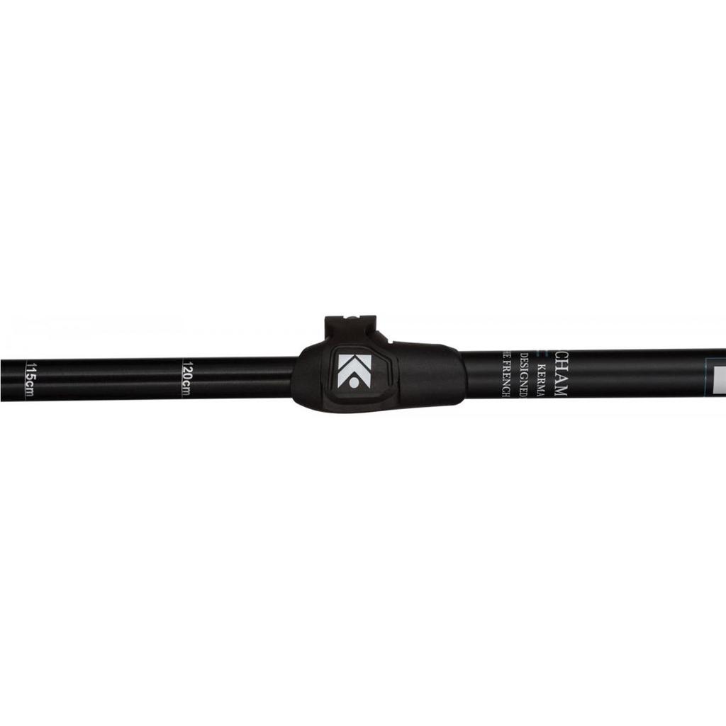 Kije narciarskie Dynastar  Cham 12 Telescopic