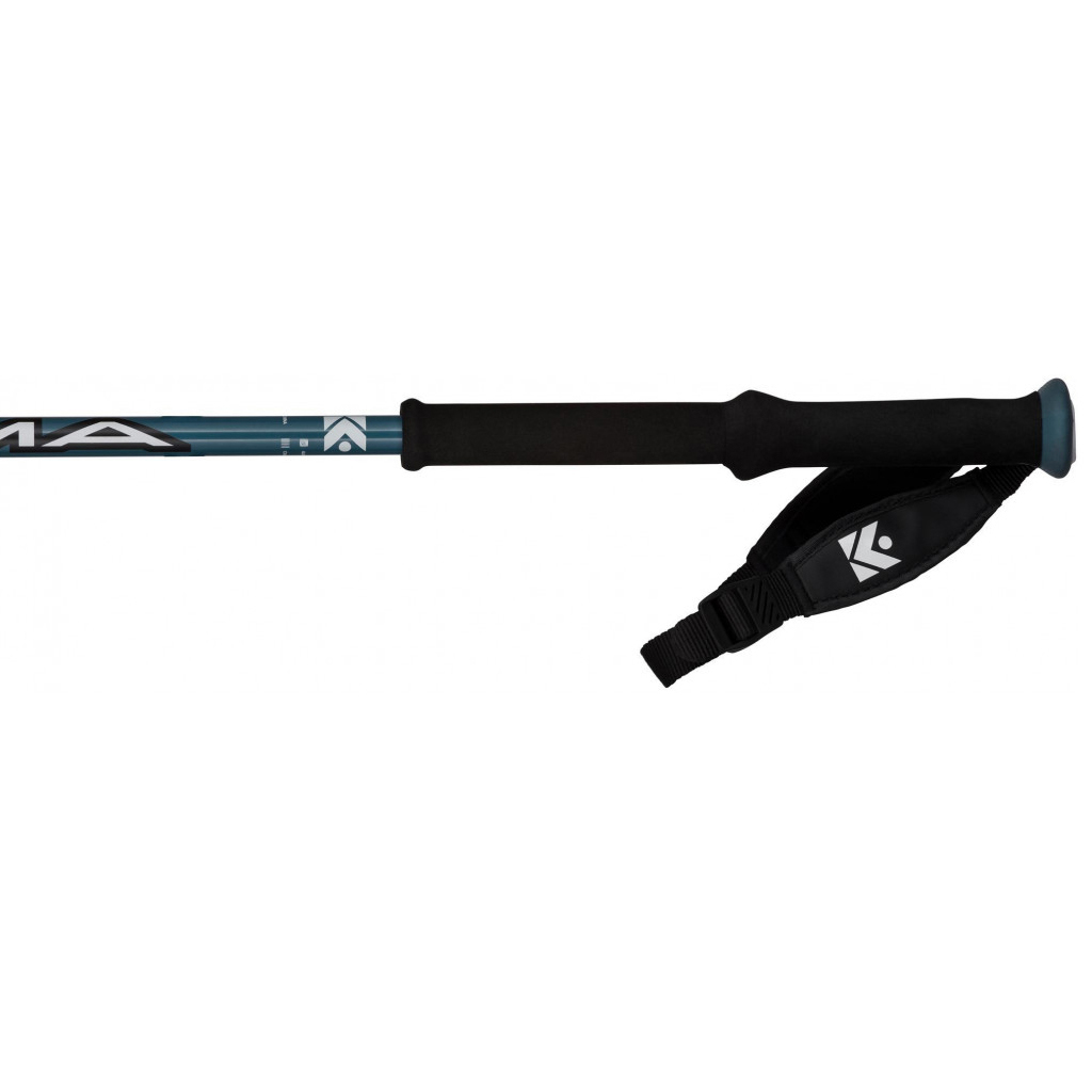 Kije narciarskie Dynastar  Cham 12 Telescopic