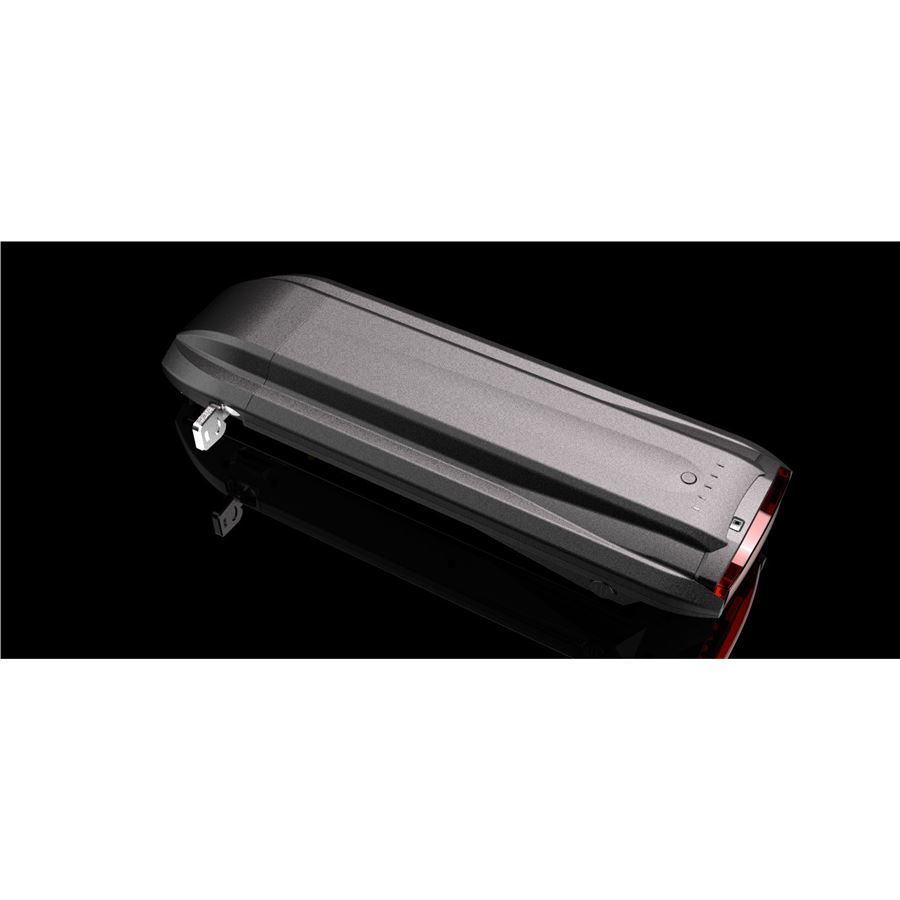 Leader Fox 36V/16Ah, LG