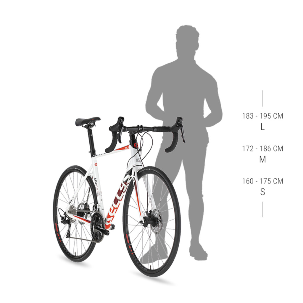 Szosowy / Gravel Kellys ARC 10
