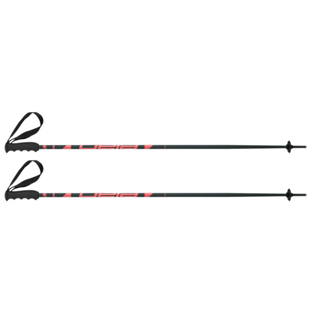 Elan SpeedRod