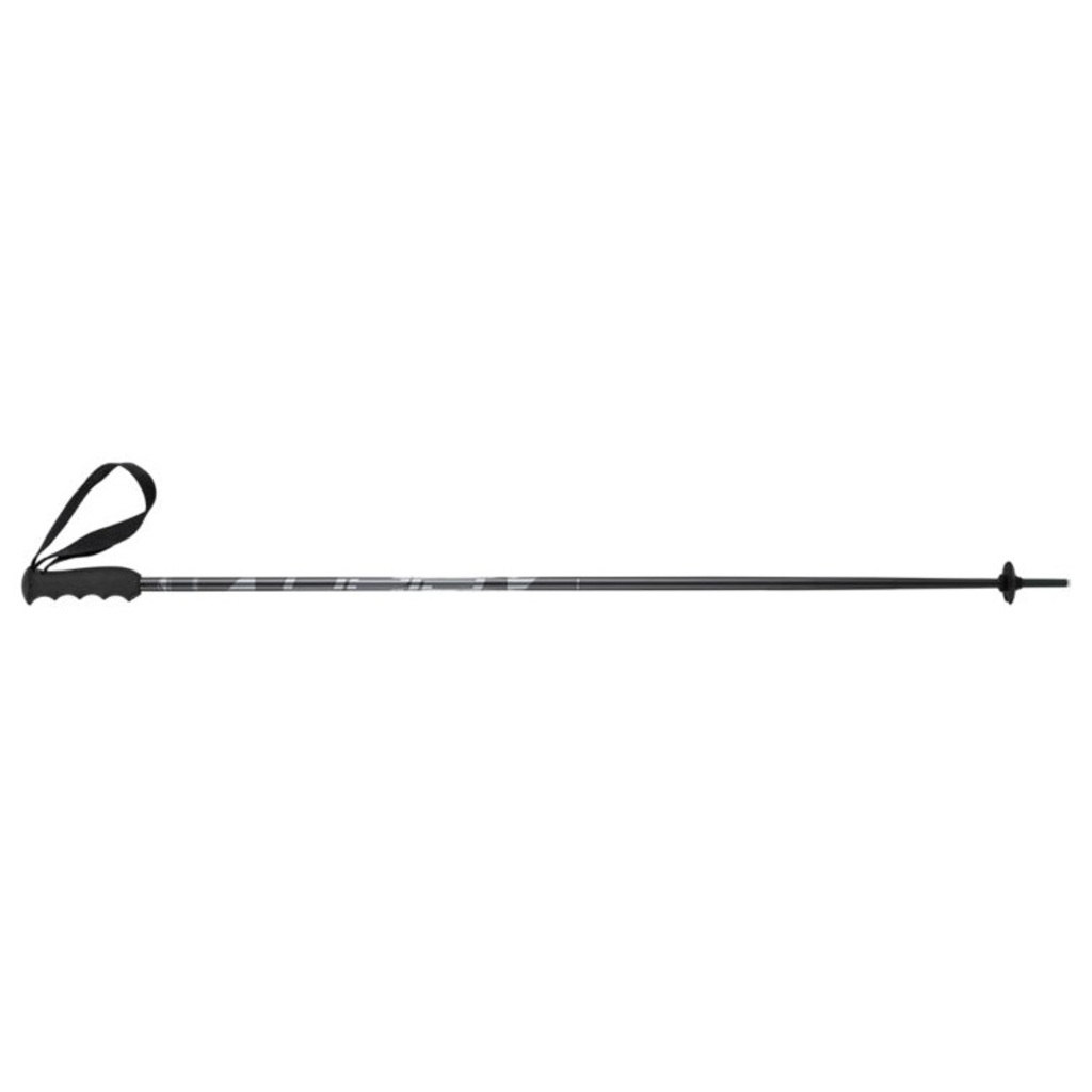 Elan SpeedRod