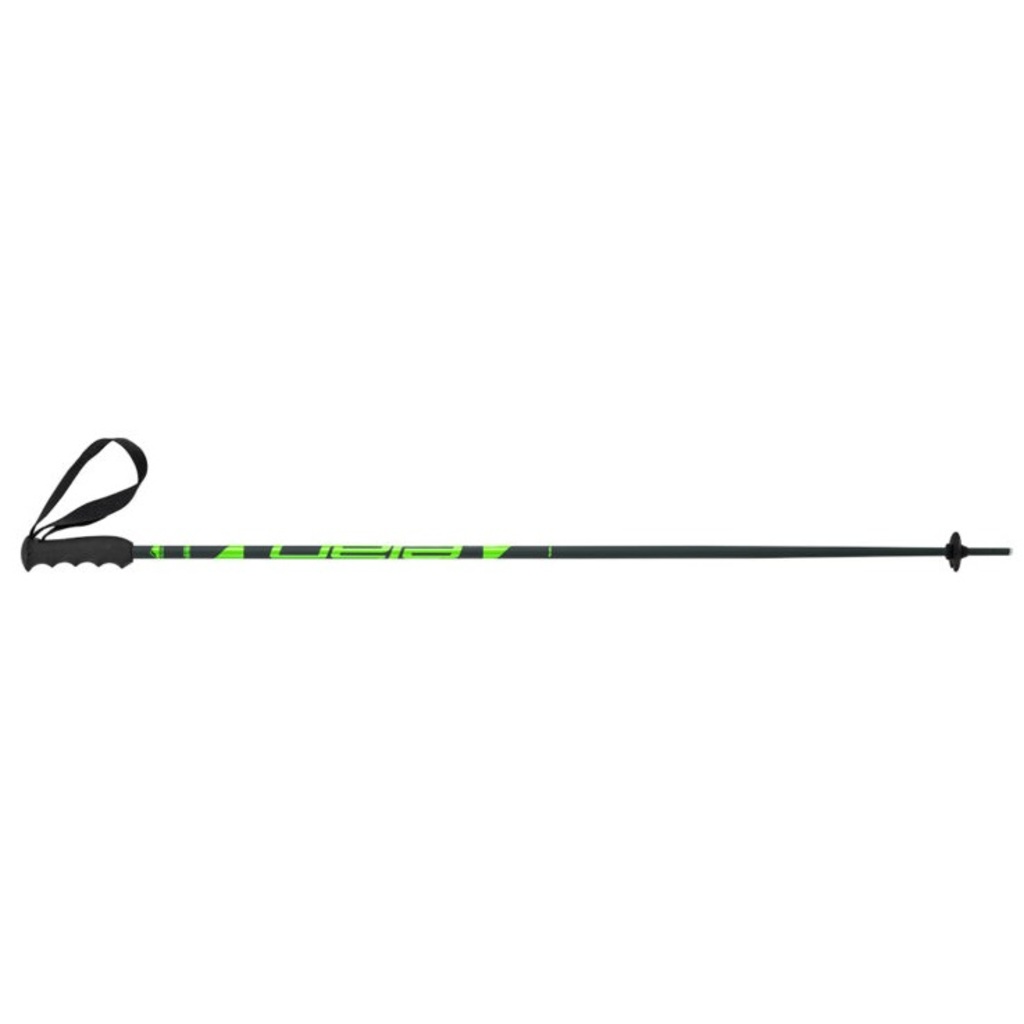 Elan SpeedRod