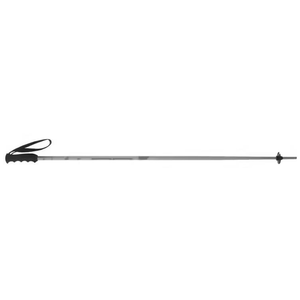 Elan SpeedRod