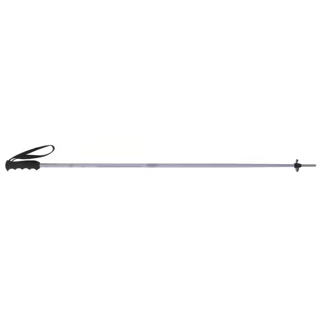 Elan SpeedRod