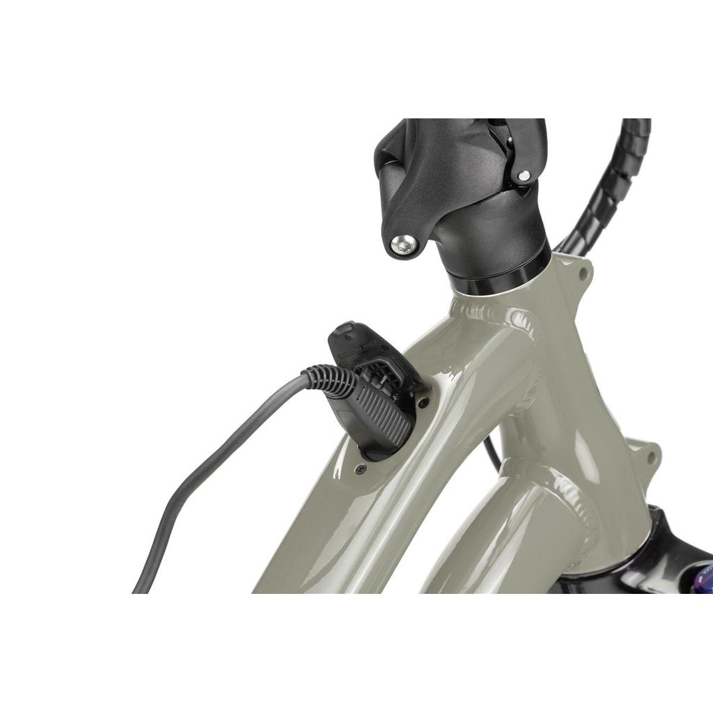 Cargo rowery Tern HSD S00