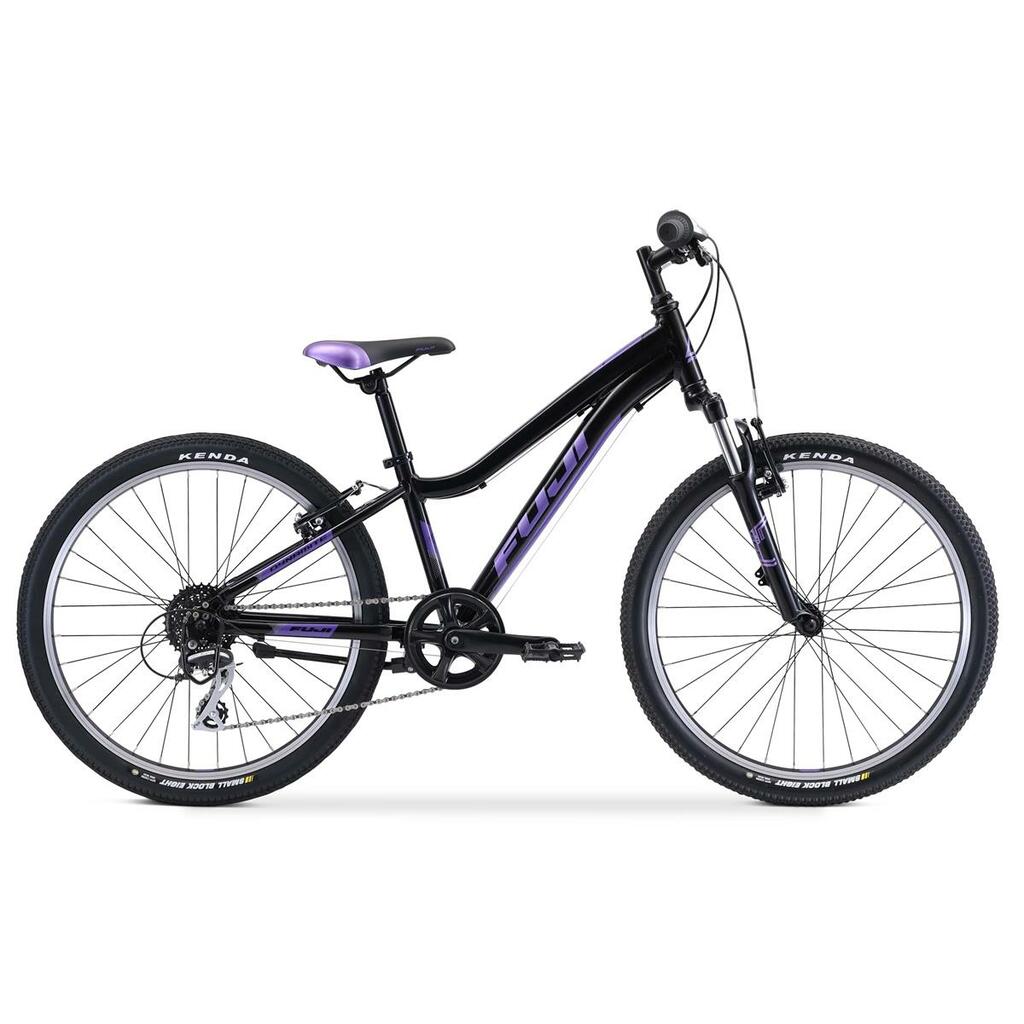 Fuji Dynamite 24 Comp