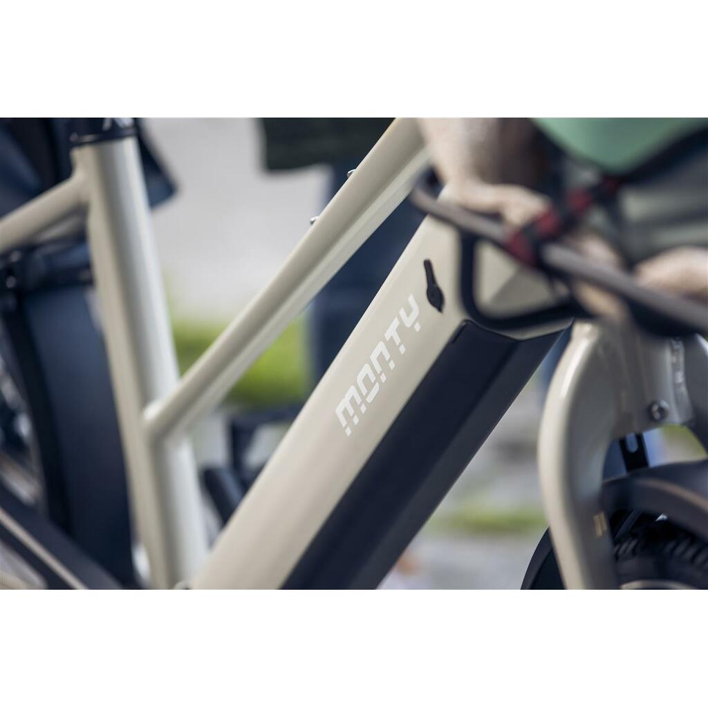 Cargo rowery MONTY V6 Strada ST