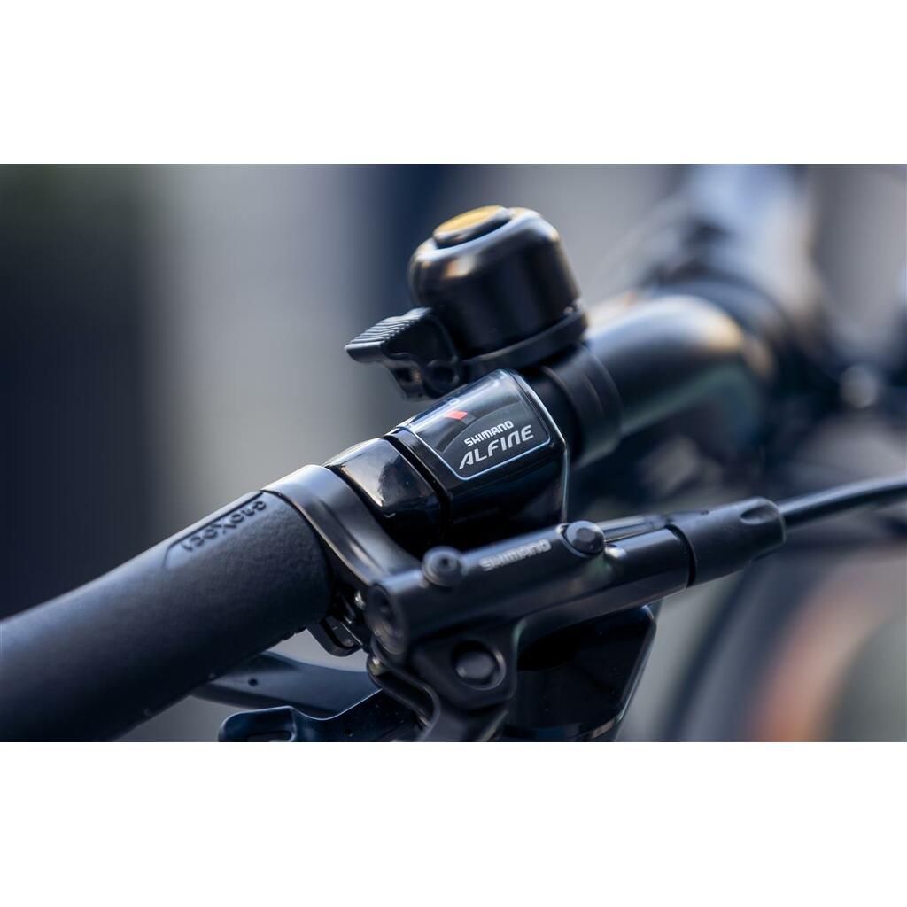 Cargo rowery MONTY V6 Strada ST