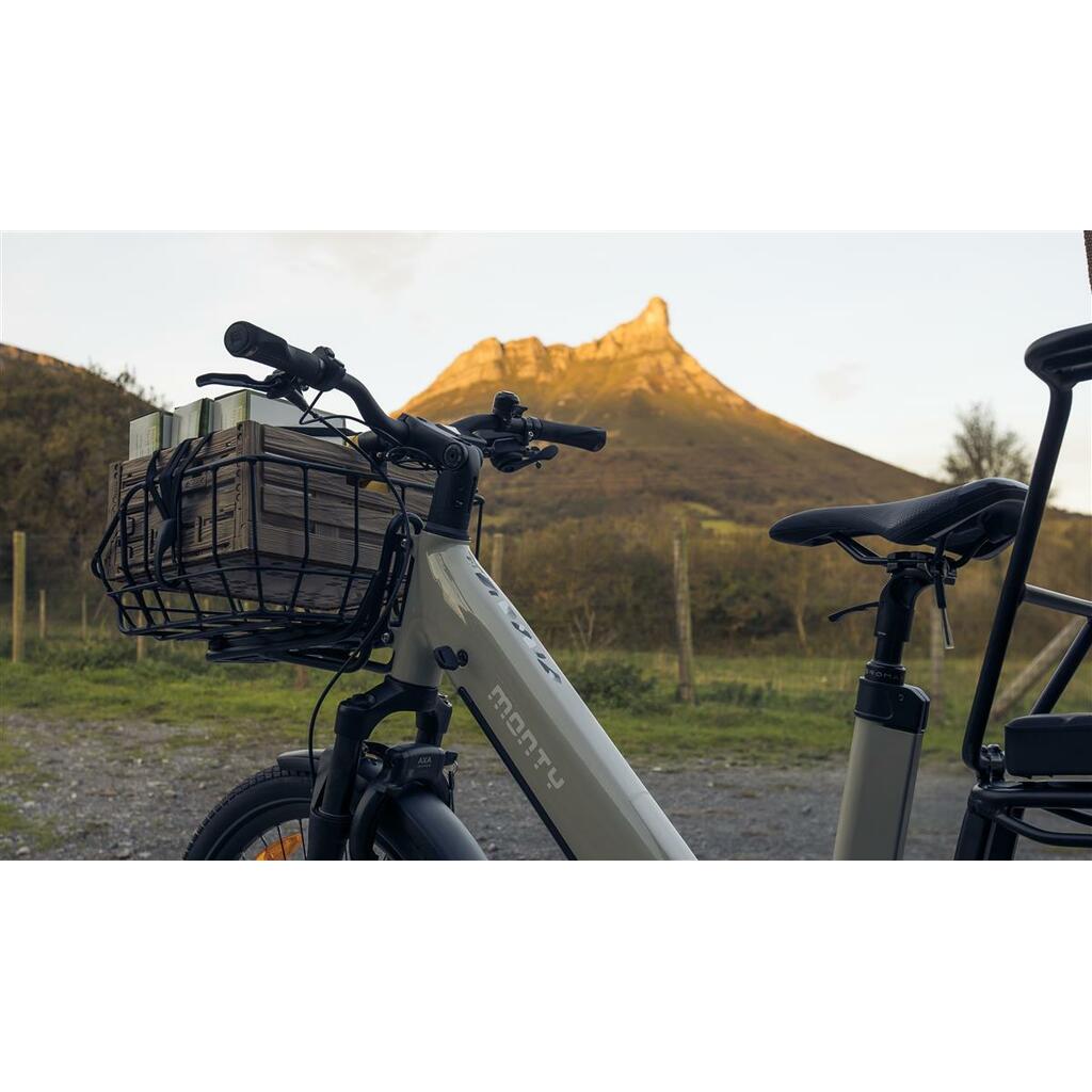 Cargo rowery MONTY V4 Rover
