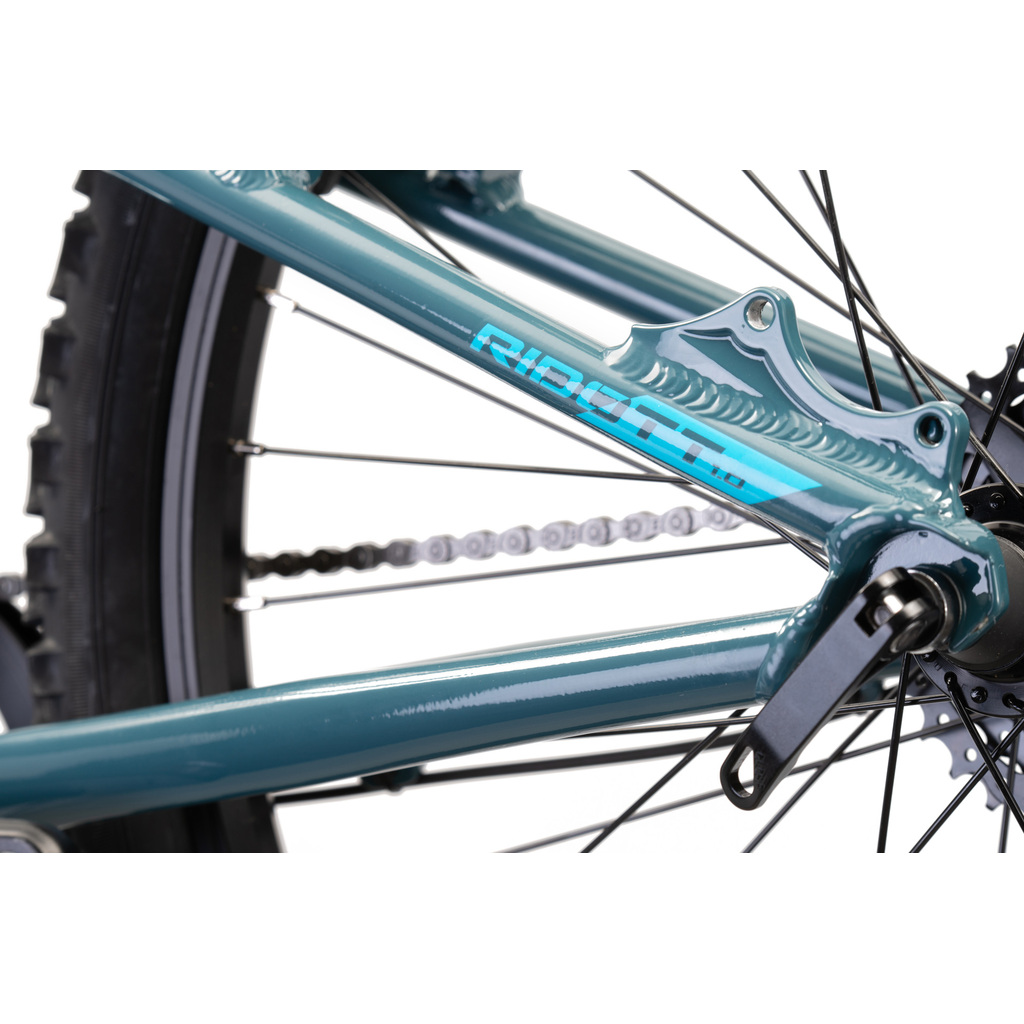 Rowery dziecięce Head Bike Ridott 1.0 24