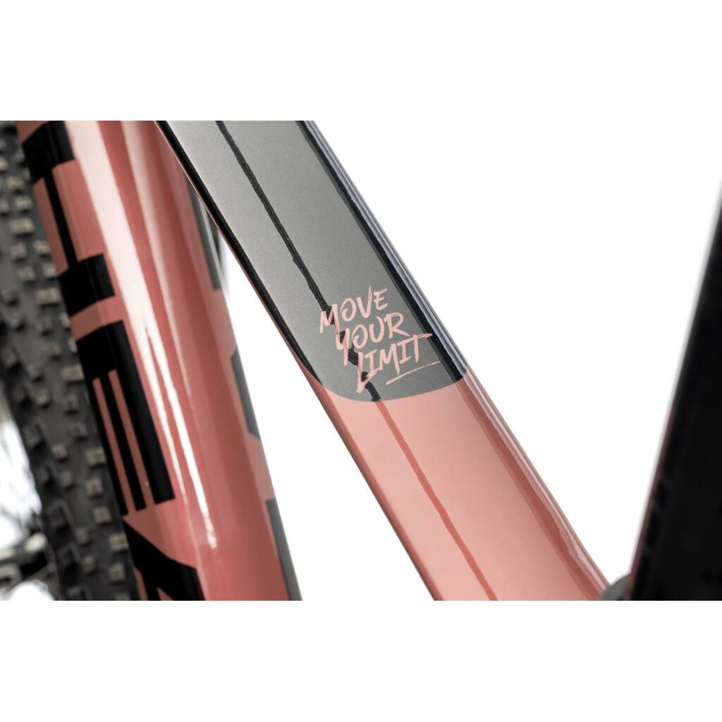 Rowery górskie Head Bike Trenton Joy