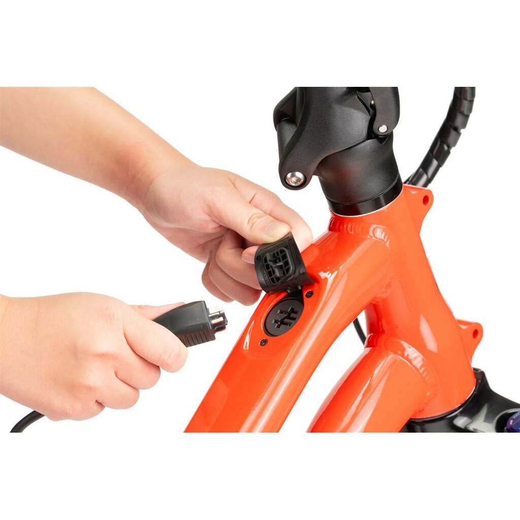 Cargo rowery Tern HSD P10