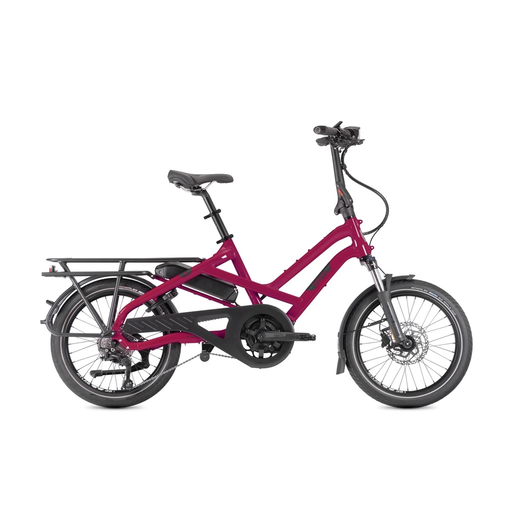 Tern HSD P10