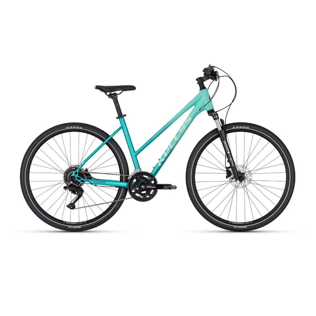 Kellys Pheebe 50