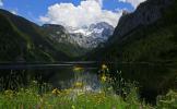 Frühling-Gosausee-Dachstein-Foto _ TVB Inneres Salzkammergut-Munteanu-Viorel (2).jpg